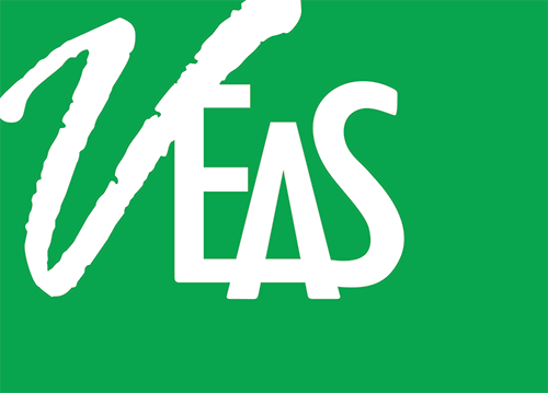 Veas Check-In App Logo